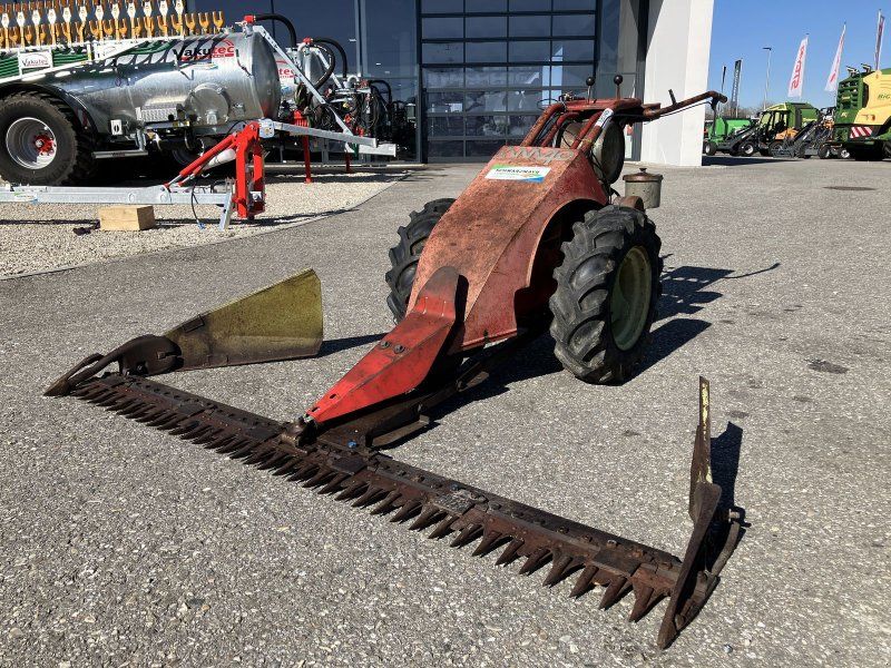 Aebi AM 41 Eingrasmäher