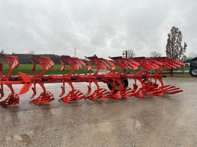 Maschio Mirco NS V 7+0