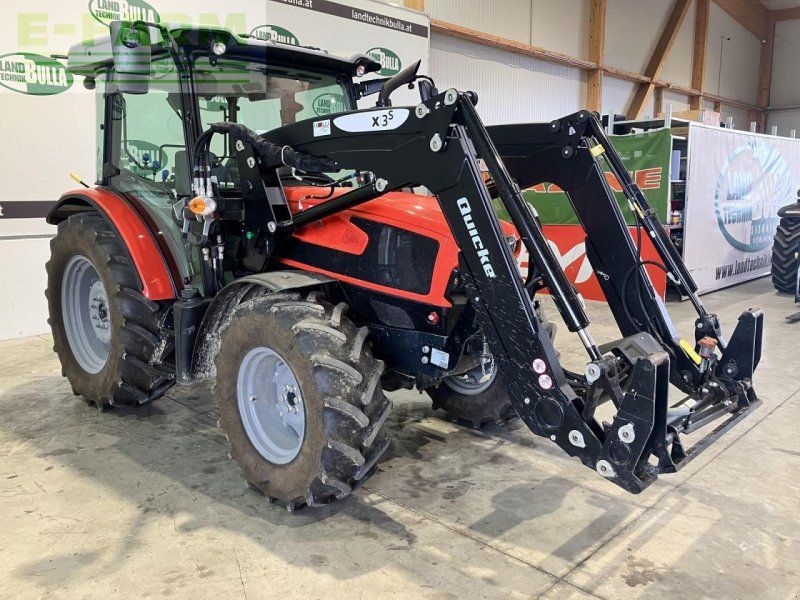 Same dorado natural 80 (stage v)