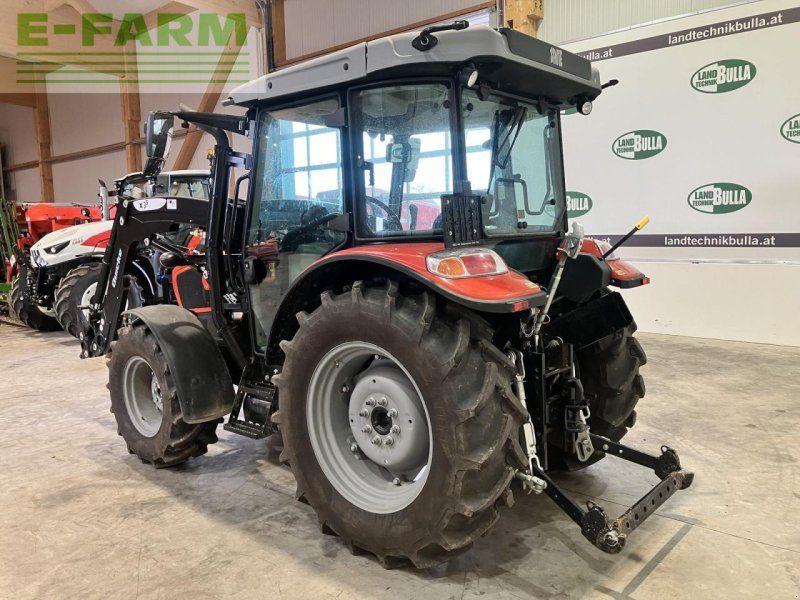 Same dorado natural 80 (stage v)