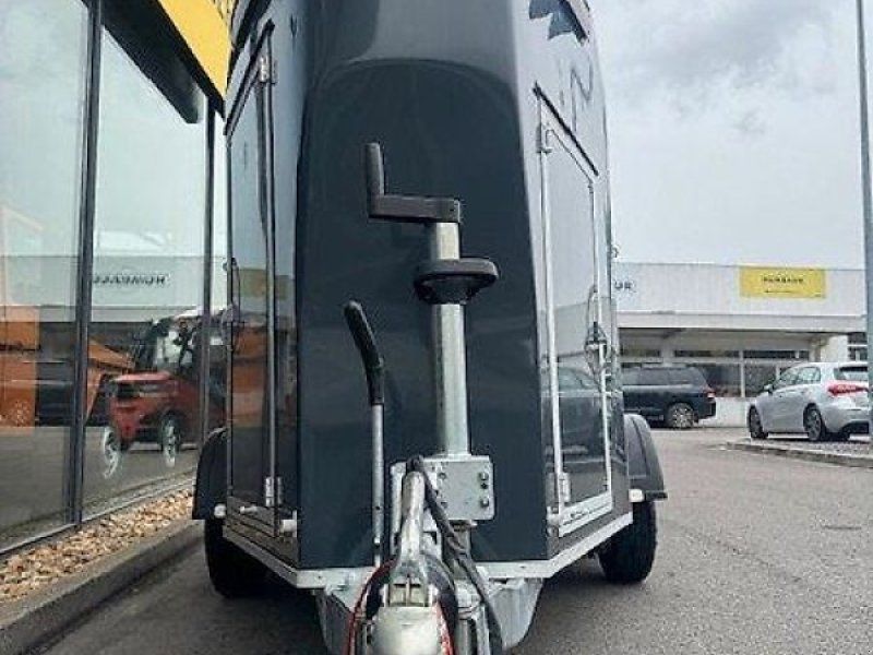 Cheval Liberte Gold One Pferde 1. Hand DS SK Alu