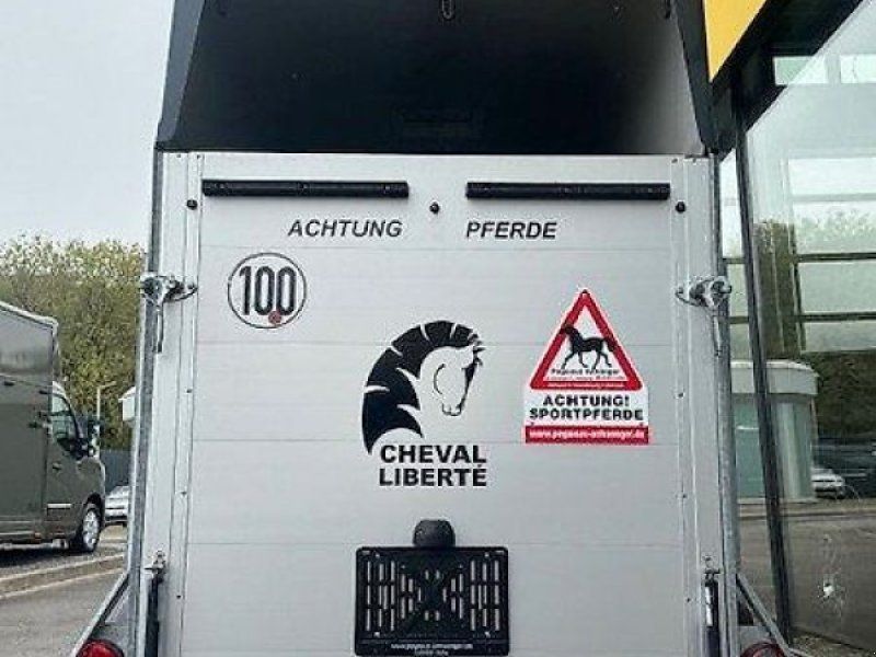 Cheval Liberte Gold One Pferde 1. Hand DS SK Alu