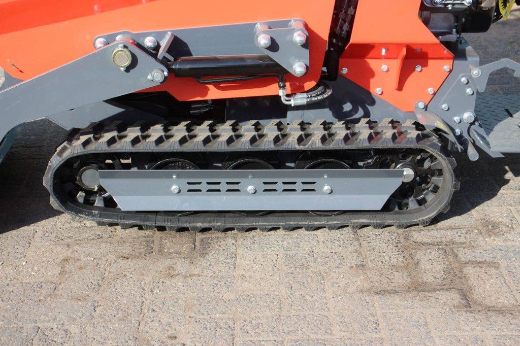 Minidumper Panther KC500 Benzine 6.5pk 2025 Nieuw