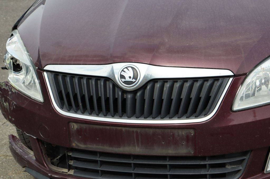 Pkw Skoda Roomster Diesel 75 PS 2013 (Margin)