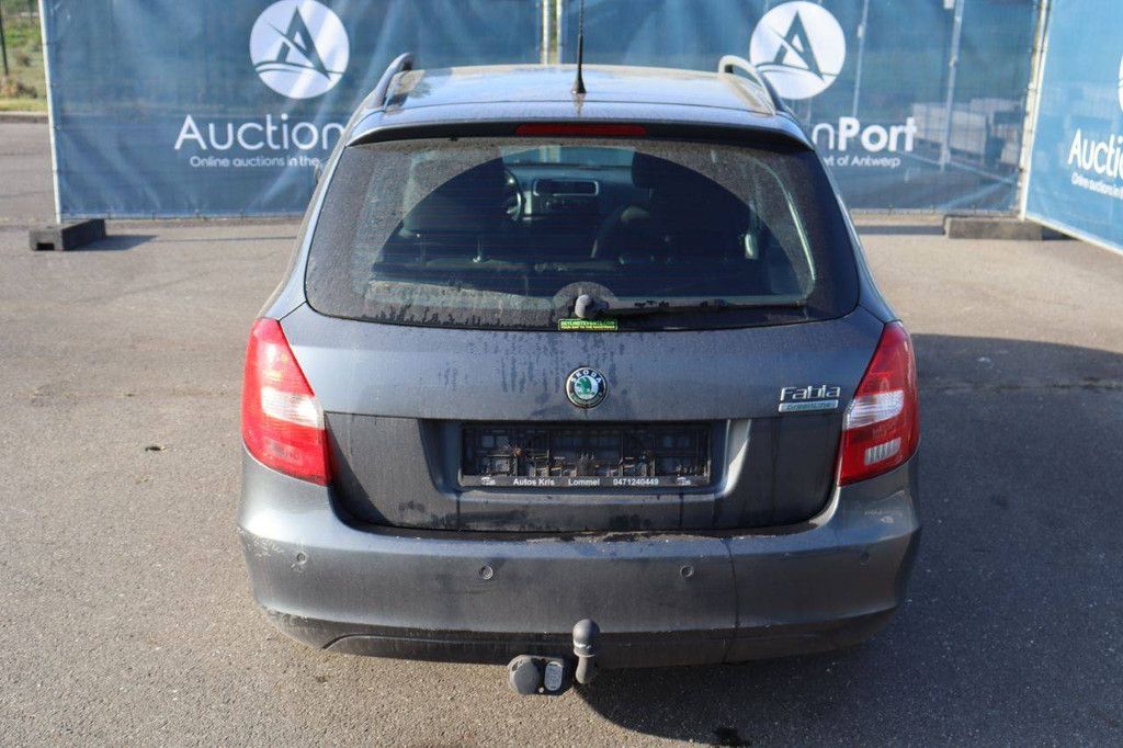 Passenger car Skoda Fabia Diesel 80hp 2010 (Margin)