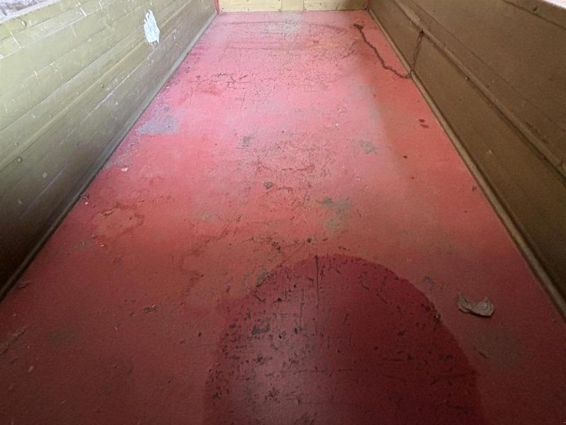 Bergmann D 100 5,7 to