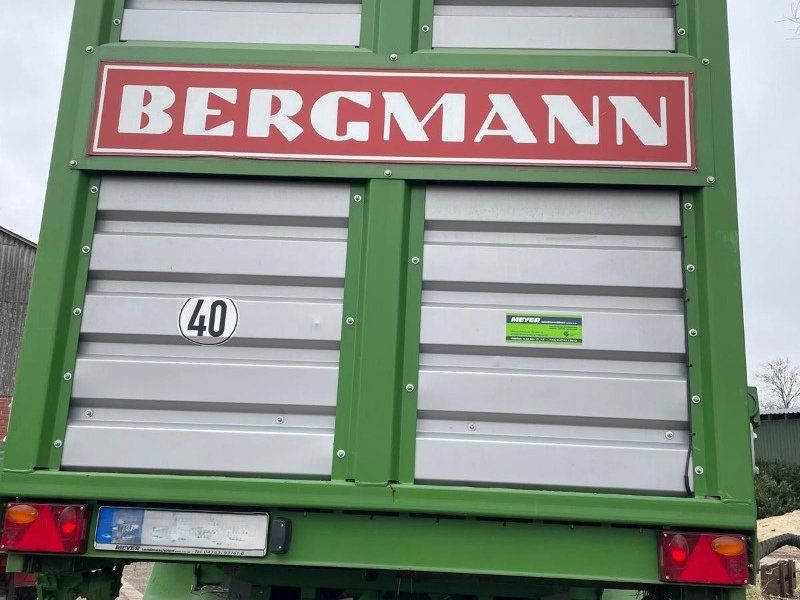 Bergmann Rep 29S