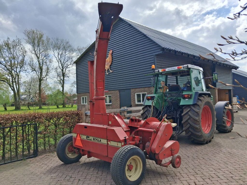 PZ Scylla grashakselaar