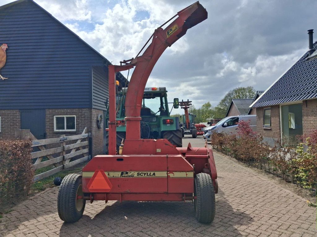 PZ Scylla grashakselaar