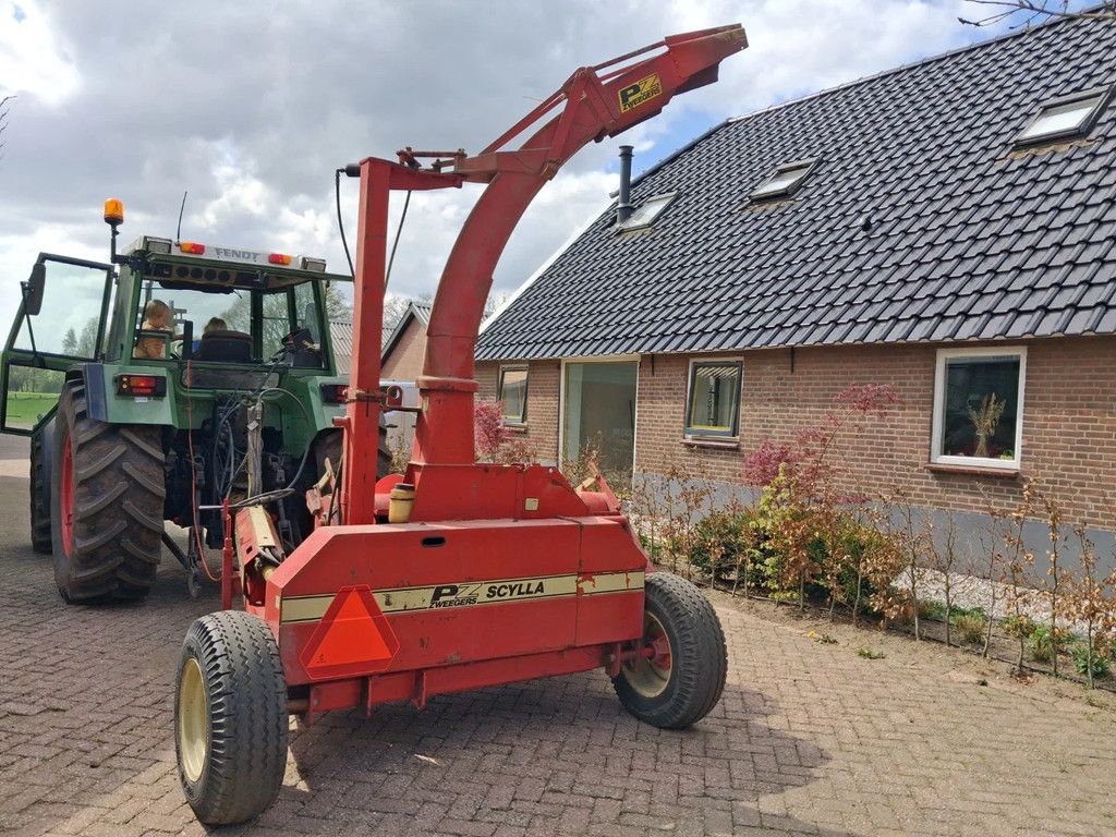 PZ Scylla grashakselaar