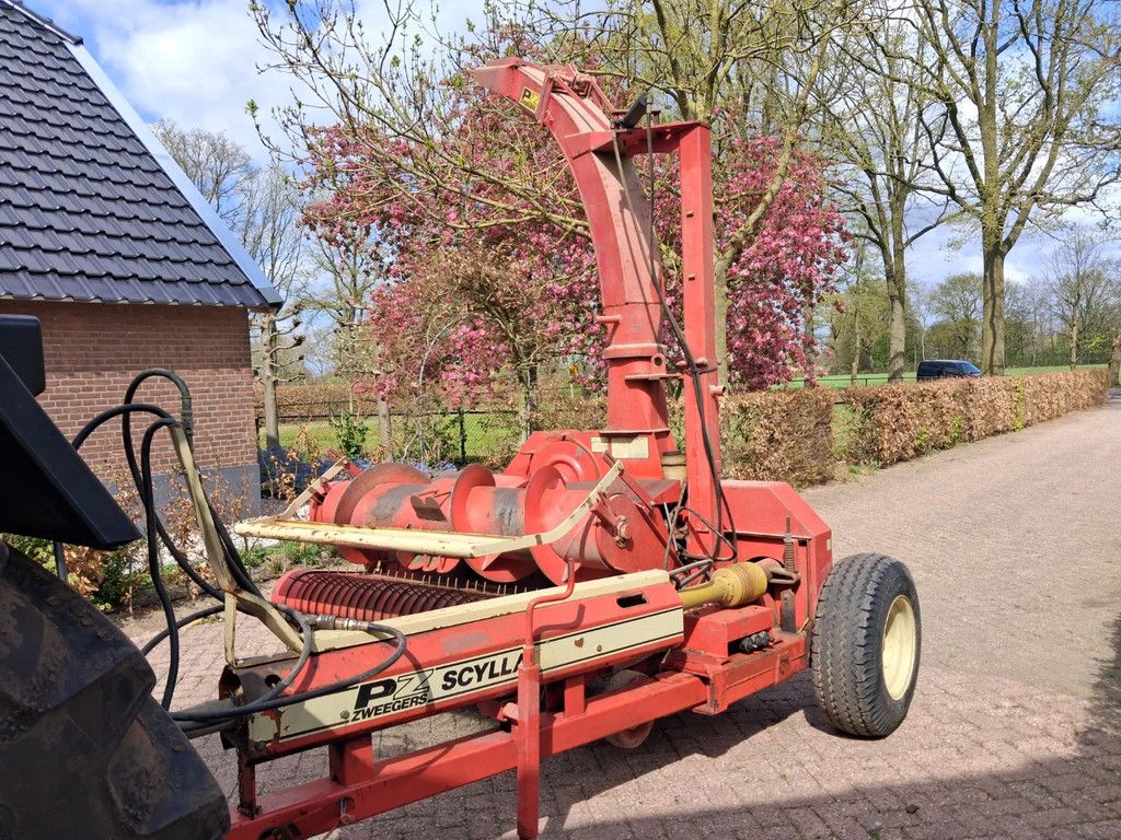 PZ Scylla grashakselaar