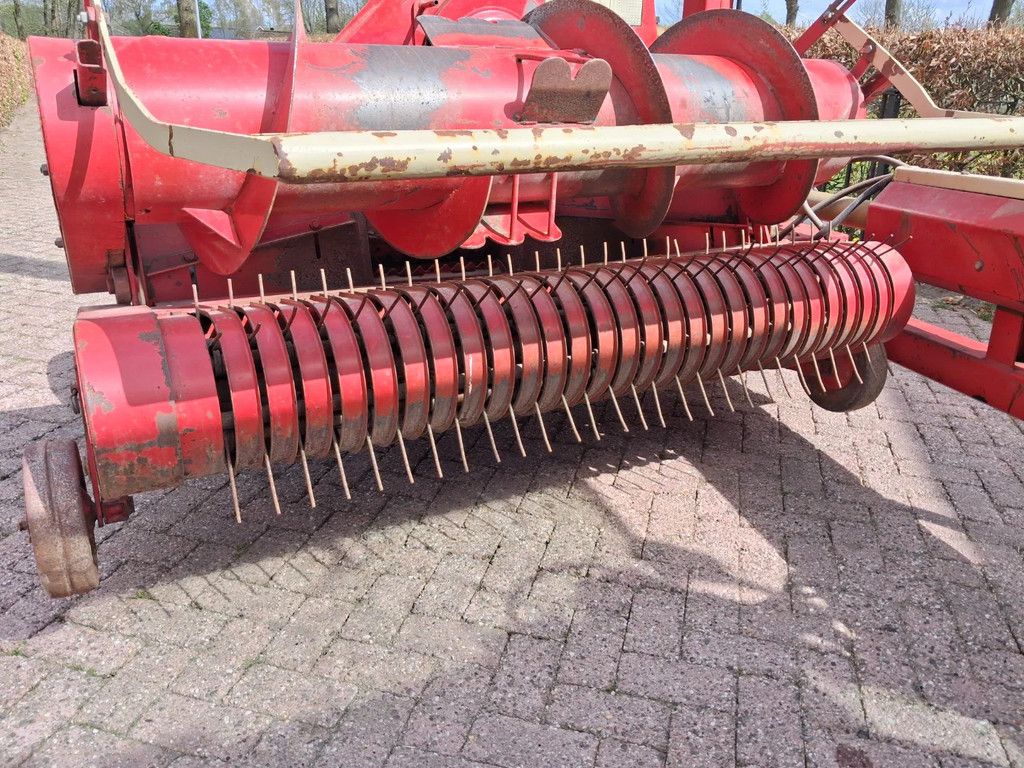 PZ Scylla grashakselaar