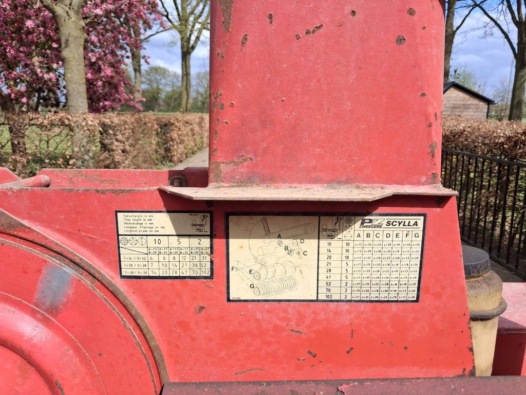 PZ Scylla grashakselaar