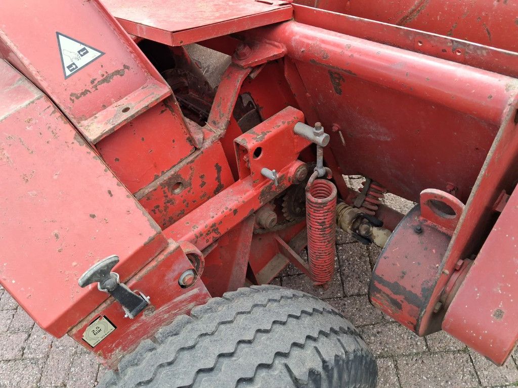 PZ Scylla grashakselaar