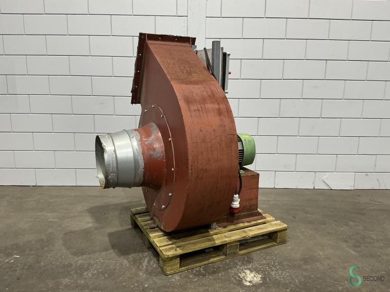 Fans Holtrop & Jansma