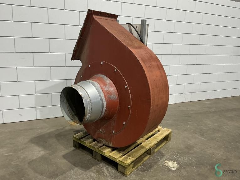 Fans Holtrop & Jansma