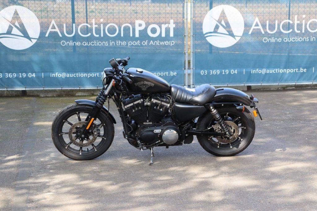 Motorcycle Harley-Davidson Sportster XL883 Iron Petrol 2017