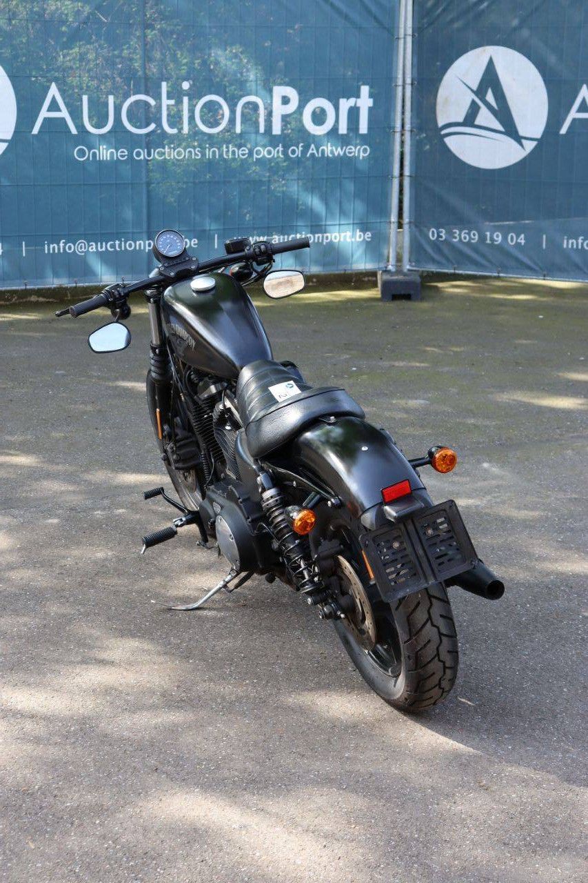 Motorcycle Harley-Davidson Sportster XL883 Iron Petrol 2017