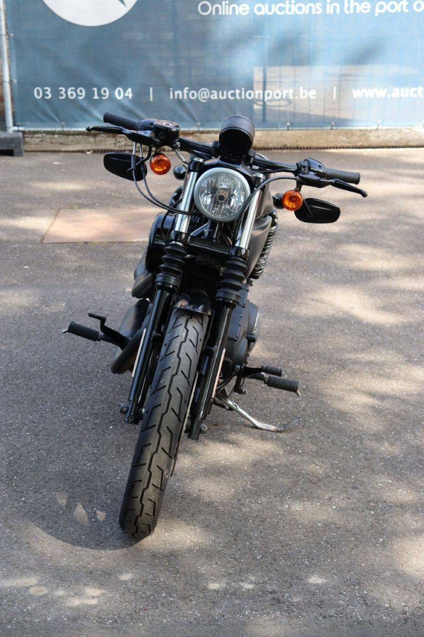Motorcycle Harley-Davidson Sportster XL883 Iron Petrol 2017