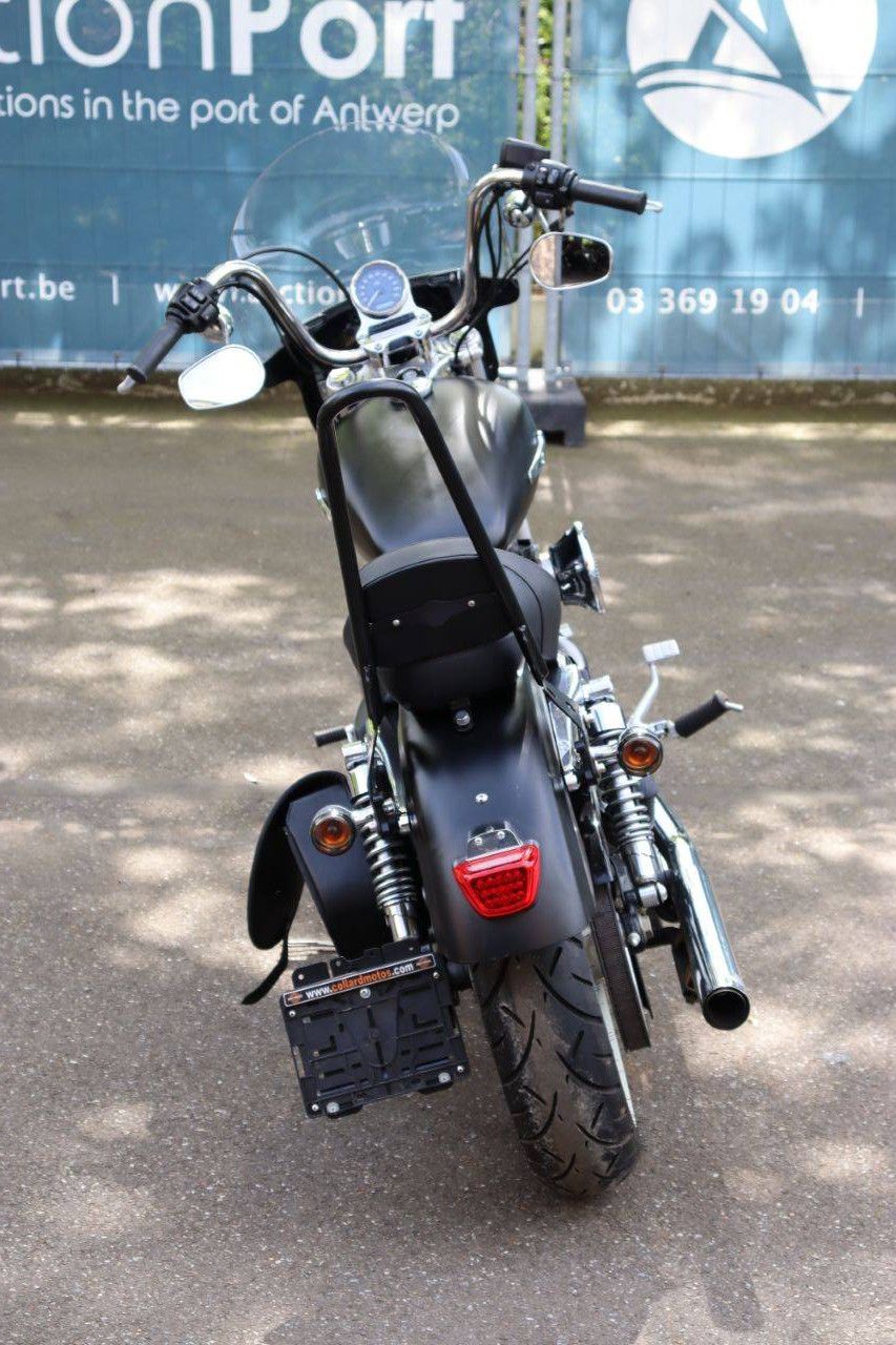 Harley-Davidson XL1200 Petrol Motorcycle 2014 (Margin)