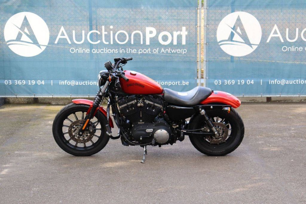 Motorcycle Harley-Davidson Sportster XL883 Iron Petrol 2012