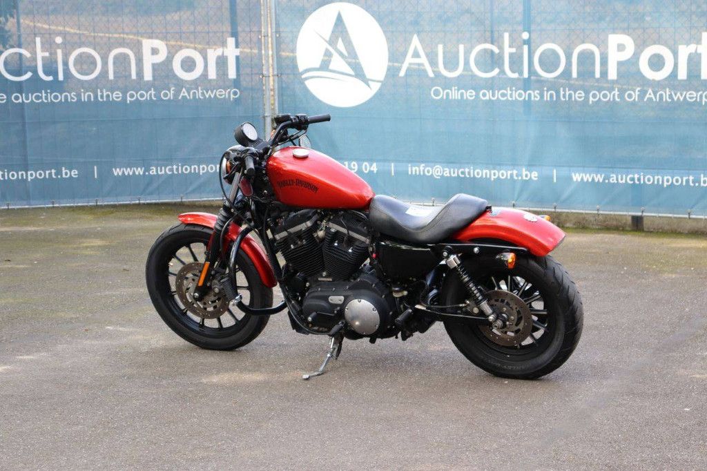 Motorcycle Harley-Davidson Sportster XL883 Iron Petrol 2012