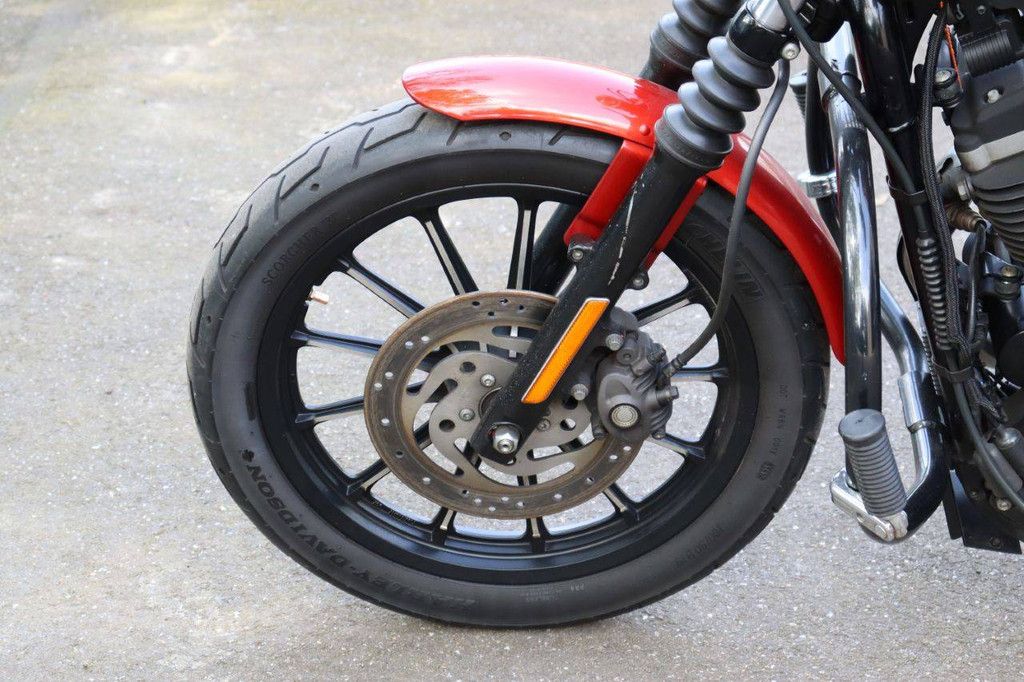 Motorcycle Harley-Davidson Sportster XL883 Iron Petrol 2012