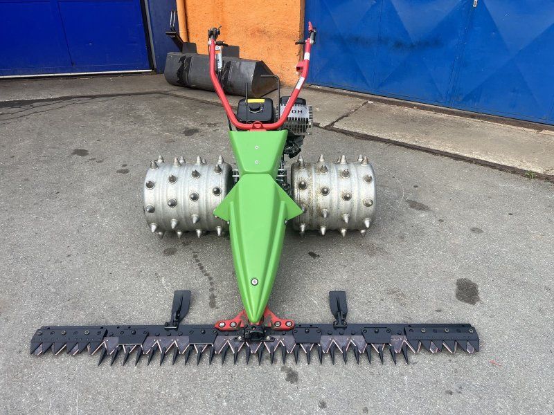 Rapid Swiss, Baujahr , Top-Zustand