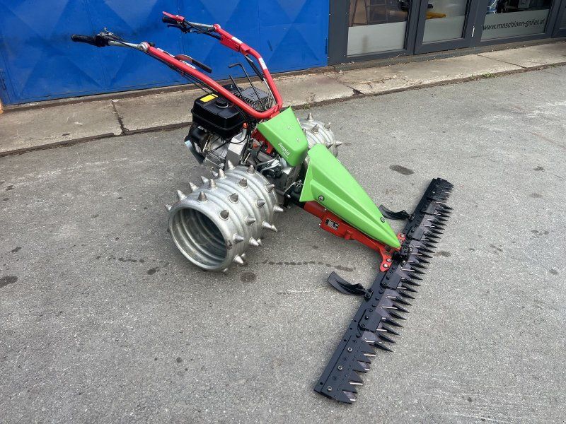 Rapid Swiss, Baujahr , Top-Zustand