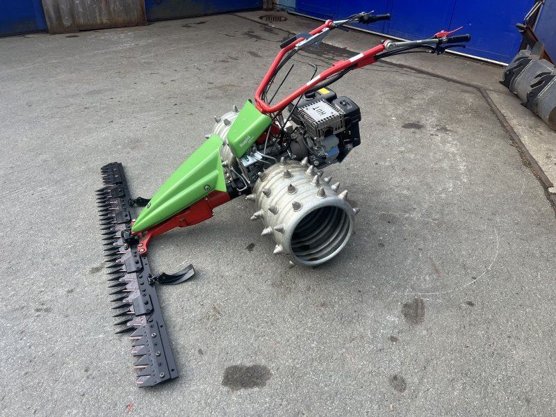 Rapid Swiss, Baujahr , Top-Zustand