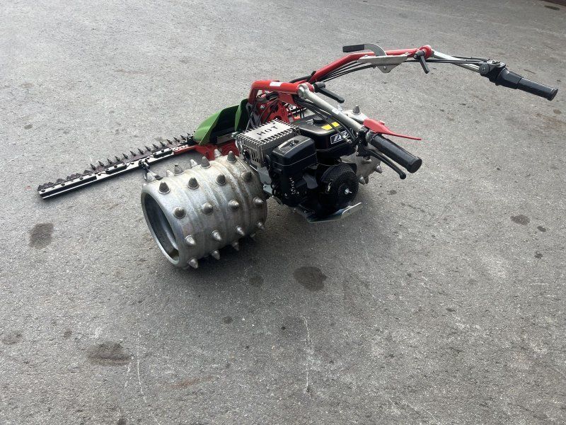 Rapid Swiss, Baujahr , Top-Zustand