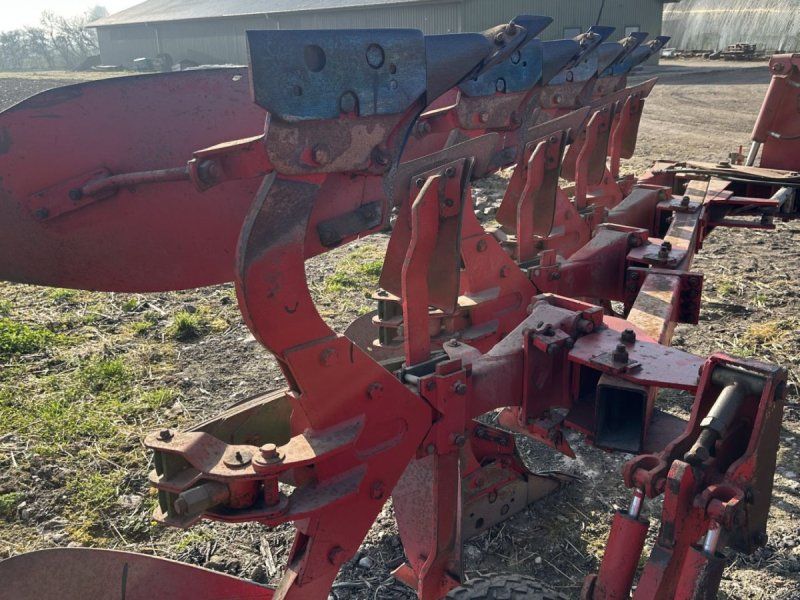 Agro 4 furet. Velholdt.