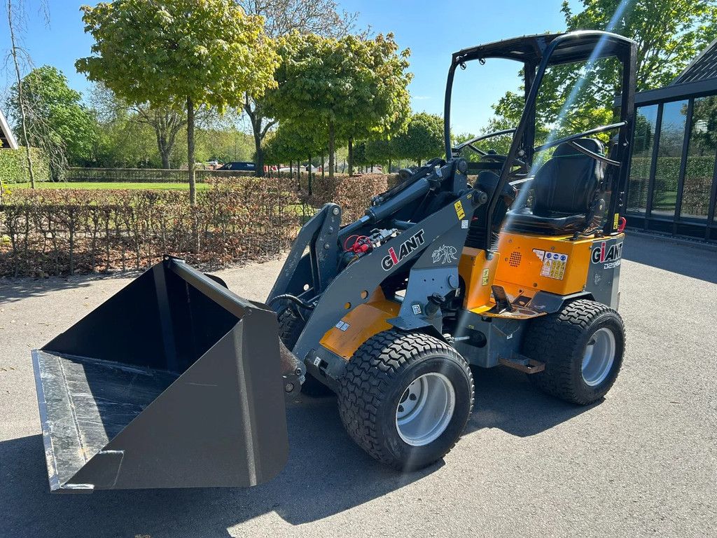 Giant D254SW D 254 SW