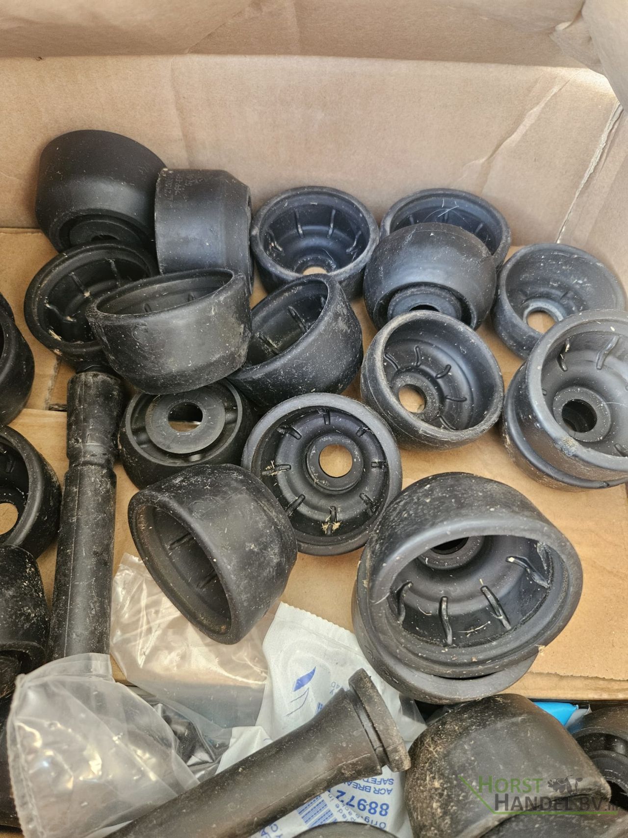 Delaval Evanza melkstellen