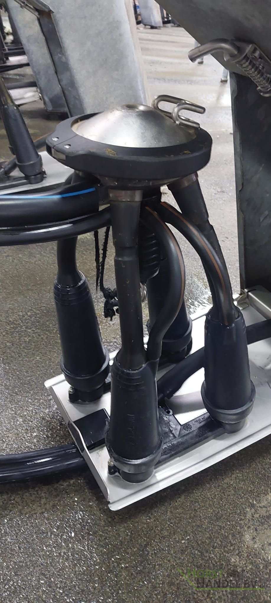 Delaval Evanza melkstellen