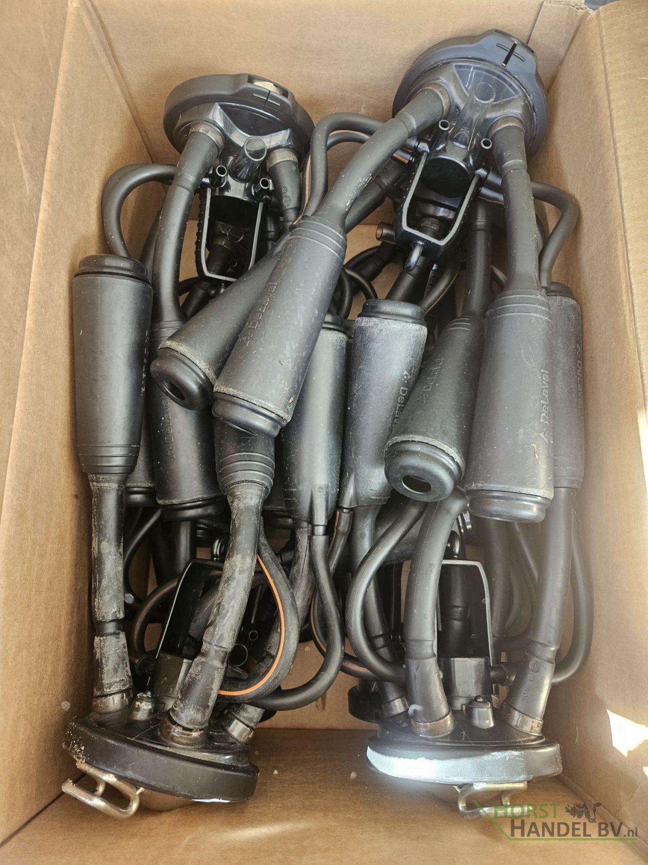 Delaval Evanza melkstellen