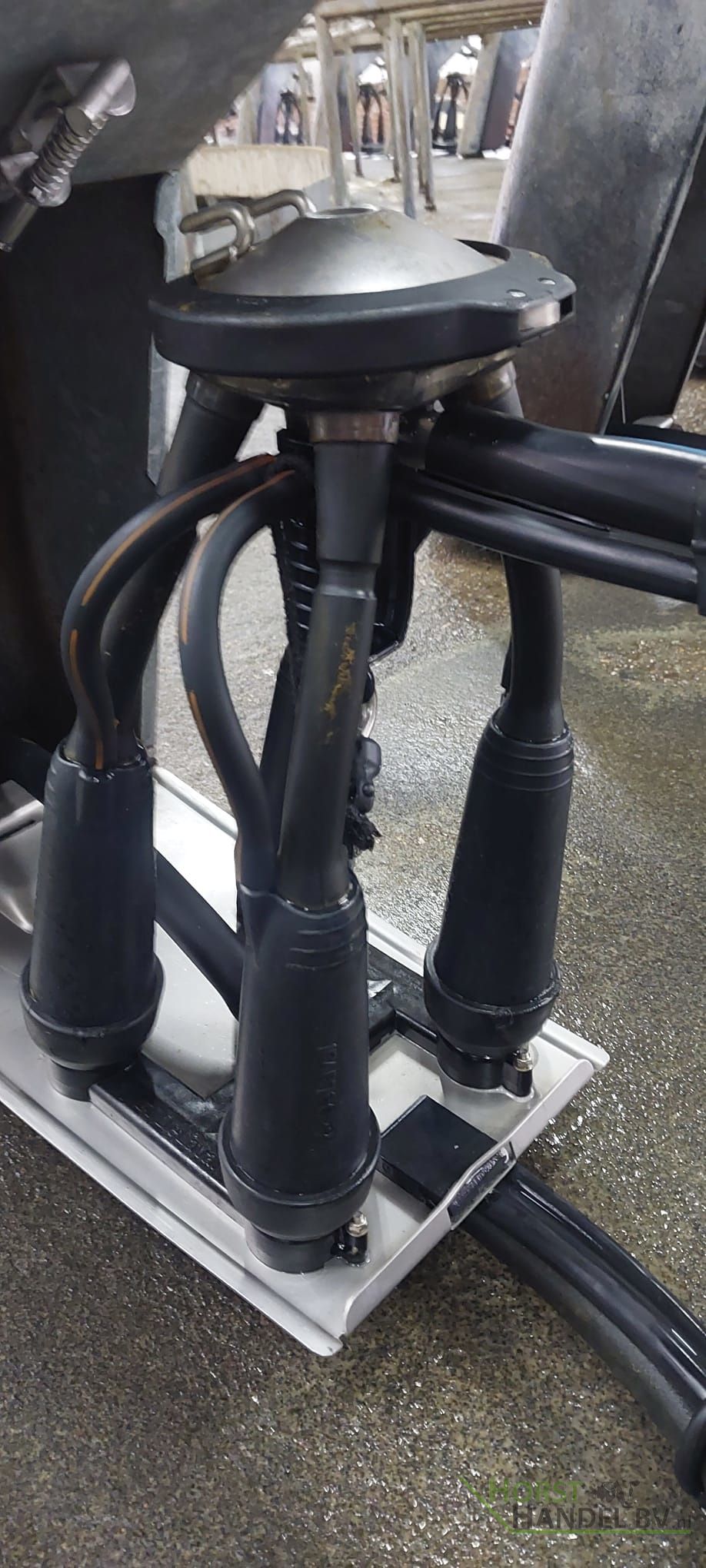 Delaval Evanza melkstellen