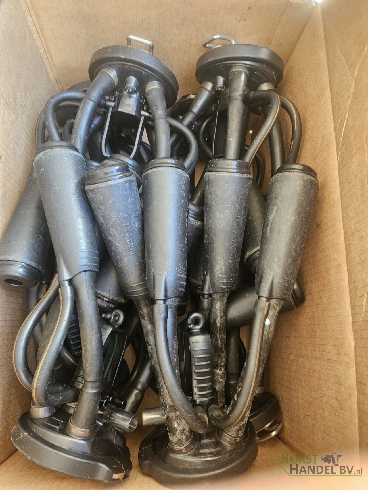 Delaval Evanza melkstellen