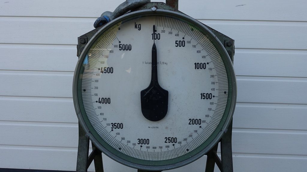 Sabroe hangweegschaal tot 5000 kg