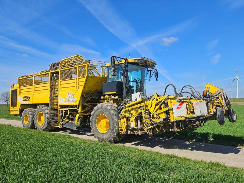 Ropa euro-Tiger V8-4b