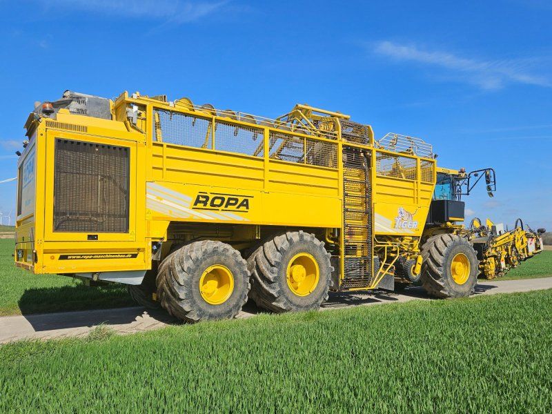 Ropa euro-Tiger V8-4b