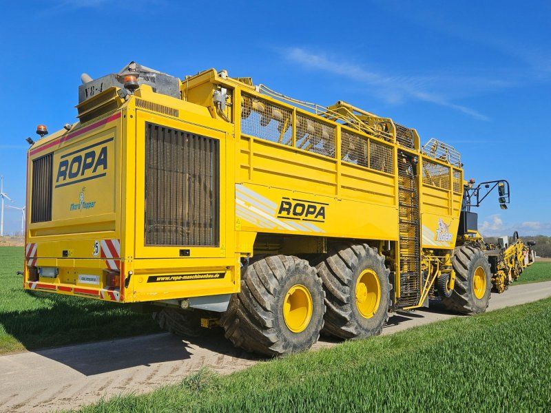 Ropa euro-Tiger V8-4b