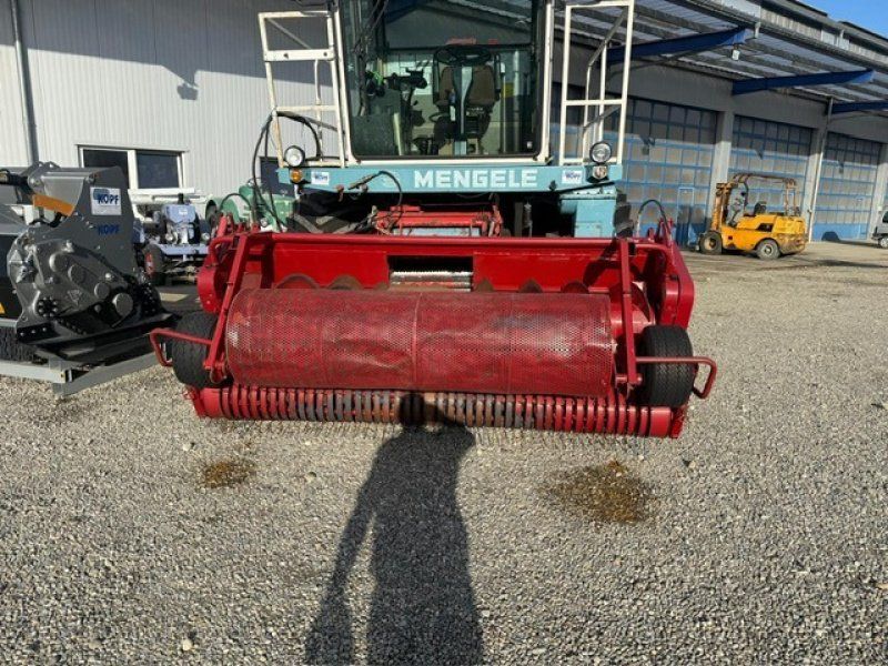 Case / Mengele  Contour