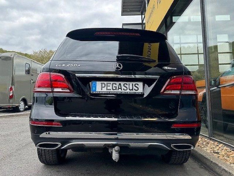 Mercedes Benz GLE 250 d 4 Matic AHK Pano PKW Geländewagen