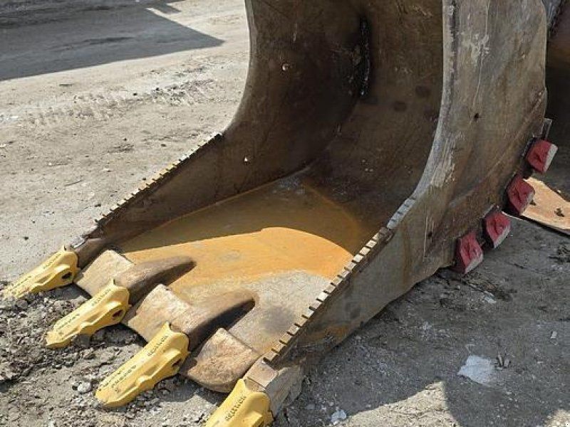 Verachtert Felslöffel mit gepanzerten Zähnen