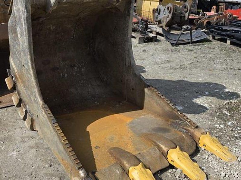 Verachtert Felslöffel mit gepanzerten Zähnen