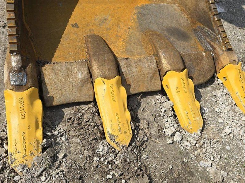 Verachtert Felslöffel mit gepanzerten Zähnen