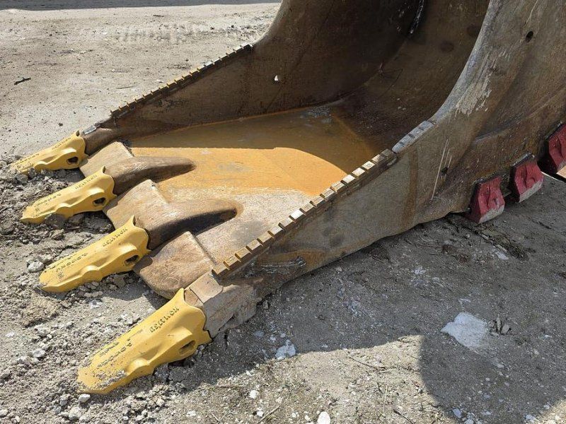 Verachtert Felslöffel mit gepanzerten Zähnen