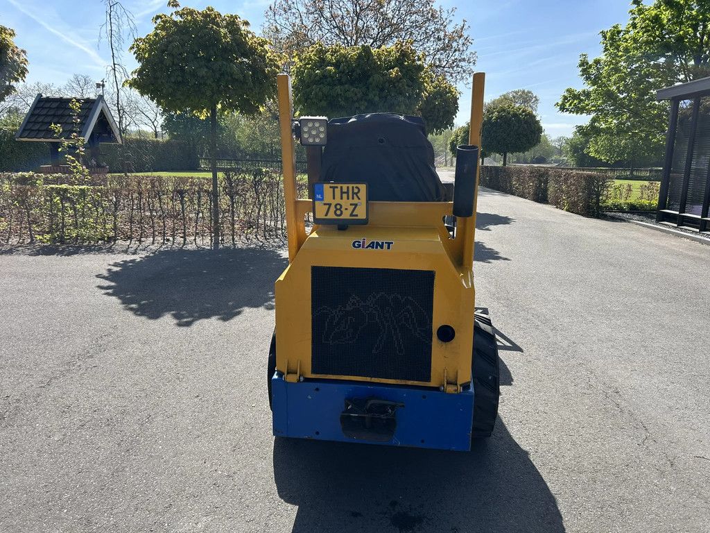 Giant D262SW D 262 SW