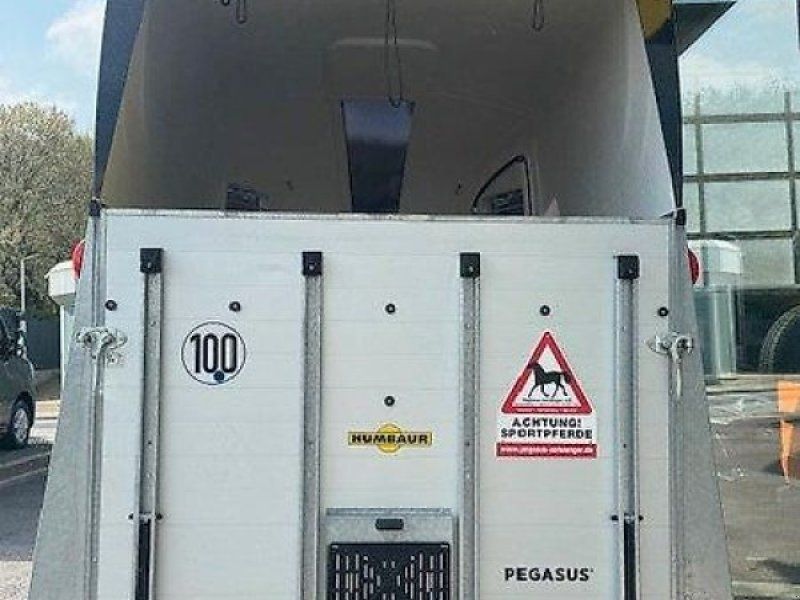 Humbaur Pegasus 2 Pferde Alu 2,4t 1.Hd. Panoramafenster